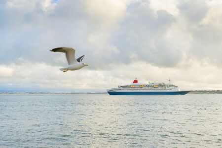 Cruise ship and flying seagull by the Tagus river. Lisbon, Portugalの写真素材