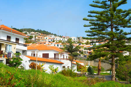 Village typical residential buildings. Madeira island, Portugalの写真素材