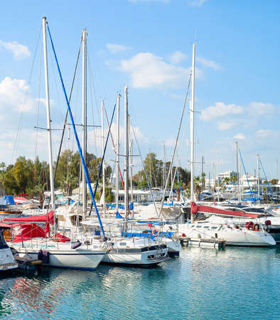 Sunshine day at Larnaca marina with moored motorboats and white yachts, cityscape in background, Cyprusの写真素材