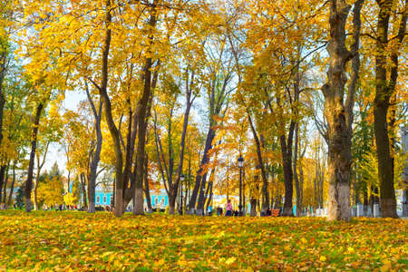 People at the autumn park with a ground covered by fallen leaves. Kiev, Ukraineの写真素材