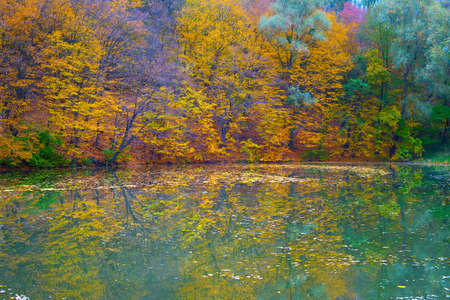 Colorful autumn trees reflected in a water of a lakeの写真素材