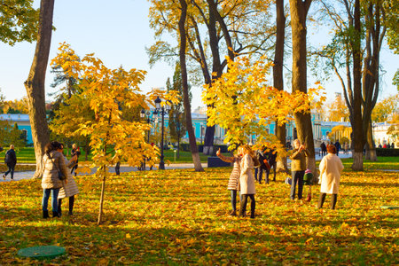 KYIV, UKRAINE - NOV 07, 2020: People at the autumn park with a ground covered by fallen leaves. Kiev, Ukraineのeditorial素材