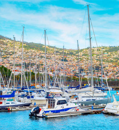 Marina with moored yachts and motorboats in evening sunlight, Funchal cityscape on mountains in background, Madeira island, Portugalのeditorial素材