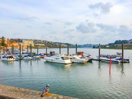 Harbor with moored motorboats, Porto city view in background, Portugalの写真素材
