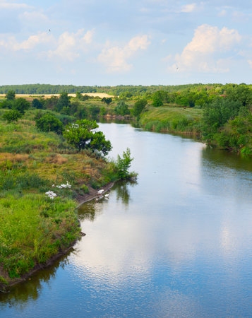 Landscape with a river and flock of white goose. Ukraineの写真素材