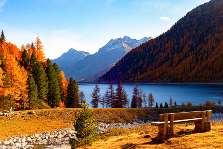 Bench in picturesque place by the lake to enjoy mountains view, autumn golden forest, spruces and rocky peaks in backgroundの写真素材