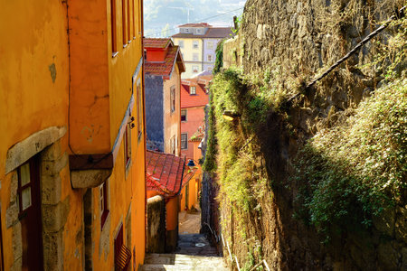 Oldtown narrow hill street, down stairs, traditional architecture, sunshine, Porto, Portugalの写真素材