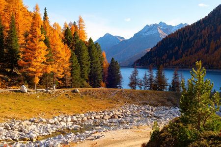 Scenic autumn Alps landscape with golden trees river and mountain peaks in backgroundの写真素材