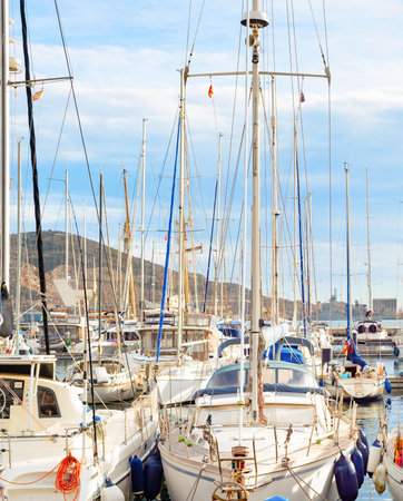 Luxury yachts moored in marina, Italyの写真素材