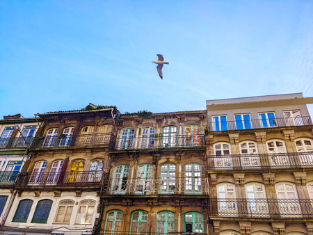 Seagull flying over old traditional portuguese building. Porto, Portugalの写真素材
