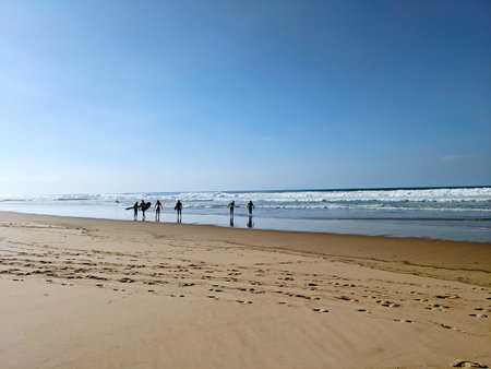 Surfers at bright sunny day on the beach. Arrifana, Alentejo, Portugalの写真素材
