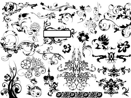 set of vector floral design elementsのイラスト素材