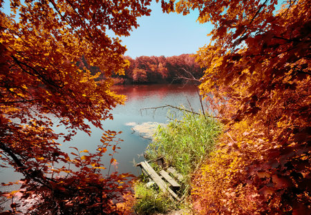Autumn scene: trees over the river and broken old bridgeの写真素材