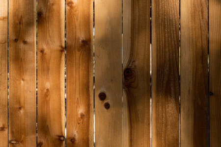 Weathered brown wood background surface. Wooden wall texture rustic planks with tree shadows.のeditorial素材
