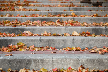 Brick And Concrete City Stairs Sidewalk With Autumn Leaves. Selective Focus Bokeh Background With...