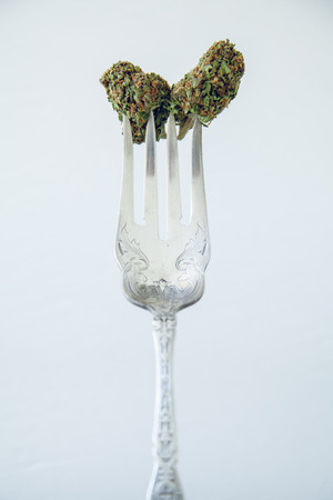 Vertical Marijuana Buds On A Vintage Silver Fork On High Key White Background. Selective Focus With Copy Space.の写真素材