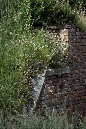 wallの写真素材