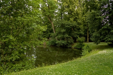 beautiful park in summerの写真素材