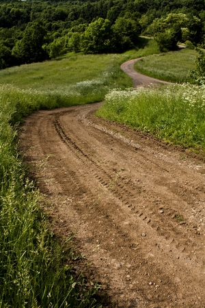 beautiful park in summerの写真素材