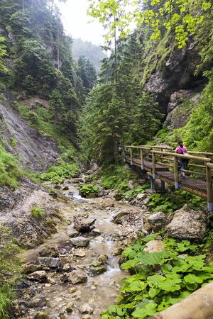 mountain stream flowing between rocksの写真素材