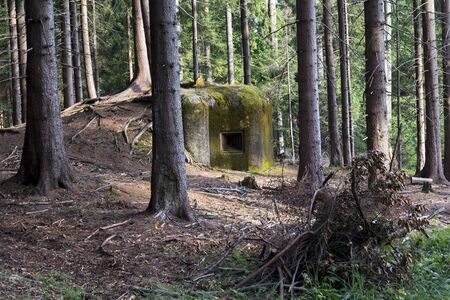 War fortifications in the woodsの写真素材