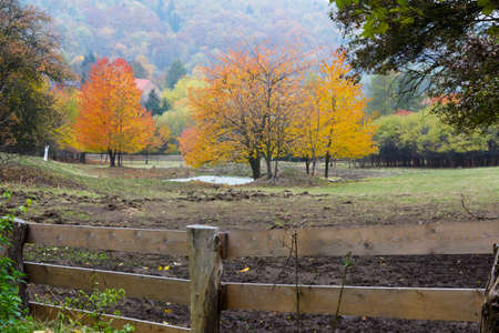 Beautiful colors of autumn landscapeの写真素材