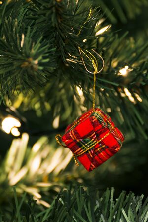 Christmas ornaments on the treeの写真素材