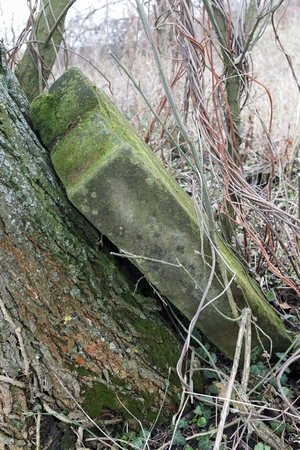 stones in the Old Jewish Cemeteryの写真素材