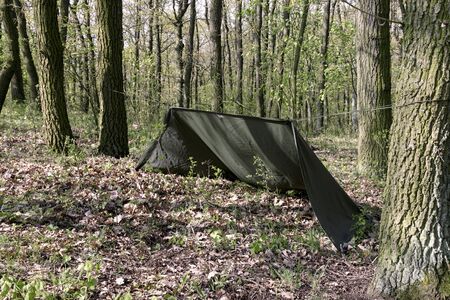 A man in a forest with a shelter cooks foodの写真素材