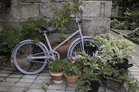 park with beautiful colorful plants in summerの写真素材