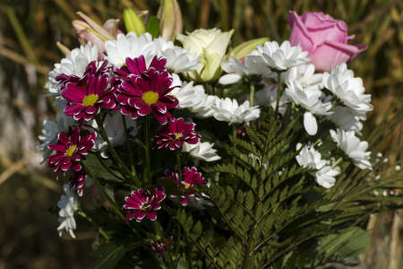 colorful flowers in a beautiful bouquetの写真素材