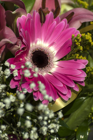 colorful flowers in a beautiful bouquetの写真素材