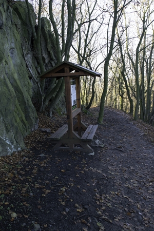 November in a quiet forestの写真素材