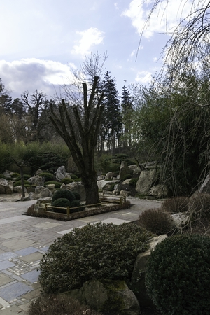 Japanese garden with beautiful treesの写真素材