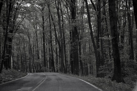 country driveの写真素材