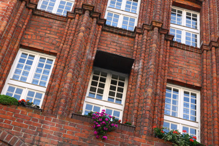 Old windows