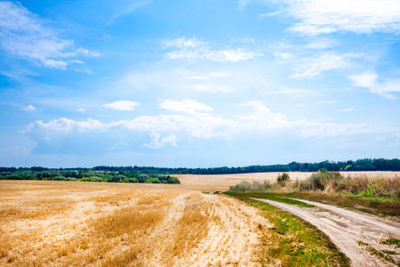 Summer landscape with mown wheat field and beautiful cloudy sky. Copy spaceの写真素材