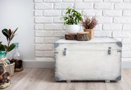 Natural home decor on white wooden box on white wall background. Copy spaceの写真素材
