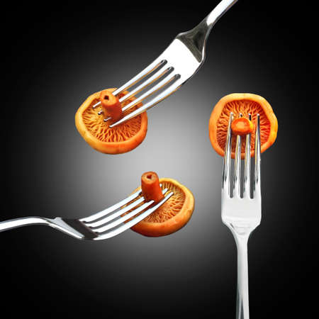 Marinated saffron milk cap mushrooms (or Red pine mushrooms) on the forks isolated on dark backgroundの写真素材