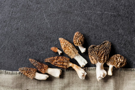Morel mushrooms closeup on black background. Flatlay