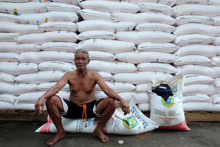 Klaten, Central Java / Indonesia - April 11 2019 : The workers, porters at fertilizer warehouse of...