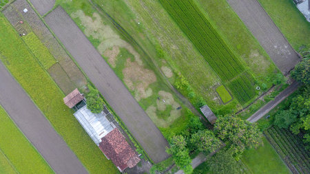 Image of beautiful Terraced rice field in water season and Irrigation from drone, Top view of rices...