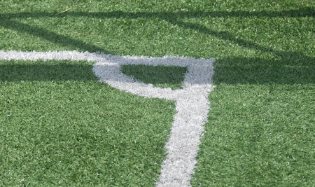 The corner on green grass field