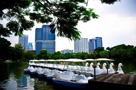 Lumpini park and Duck shaped boat Bangkok Thailandの写真素材