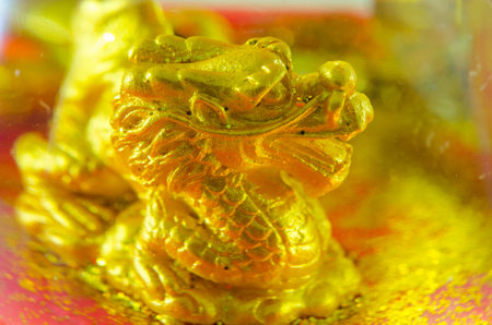 golden dragon in crystal ballの写真素材