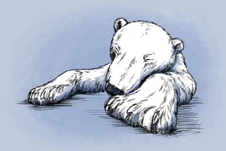 color engrave ink draw isolated polar bearの写真素材