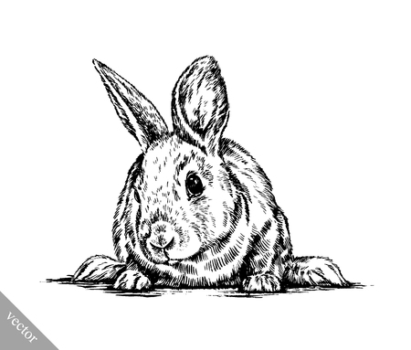 black and white vector brush painting ink draw isolated rabbit illustrationのイラスト素材