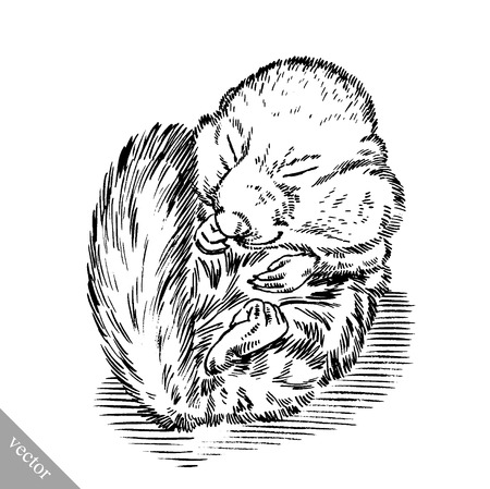 black and white engrave ink draw isolated vector squirrel illustrationのイラスト素材