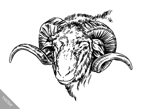 black and white engrave ink draw vector sheep illustrationのイラスト素材