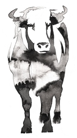 black and white painting with water and ink draw bull illustrationの写真素材